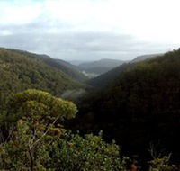 Nattai Gorge Lookout - Kawana Tourism