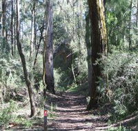 Box Vale Mine Walking Track and Lookout - Kawana Tourism