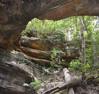 Cave Creek Walking Track - Kawana Tourism