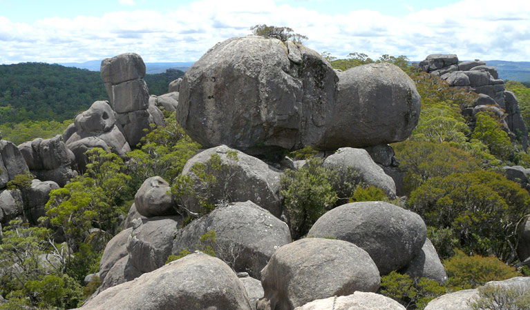  Kawana Tourism