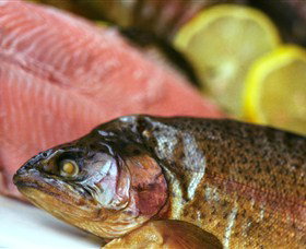 Lovedale Smokehouse Gourmet Pantry, Cafe And Masterclasses - Kawana Tourism 0