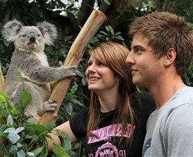 Featherdale Wildlife Park - Kawana Tourism 0