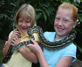 Featherdale Wildlife Park - Kawana Tourism 2