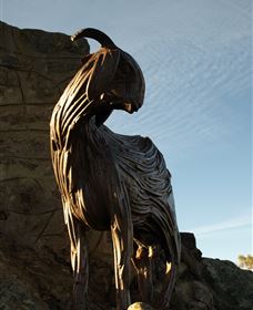 Nanny Goat Hill Lookout - Kawana Tourism 0