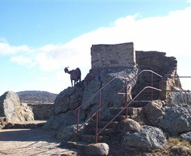 Nanny Goat Hill Lookout - Kawana Tourism 3