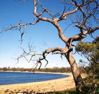 Lake Indoon - Kawana Tourism