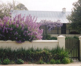 Lambie Town Walk - Kawana Tourism 4