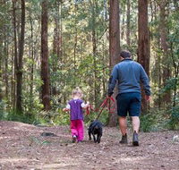 Olney State Forest - Watagan Mountains - Kawana Tourism