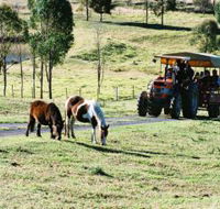 Calmsley Hill City Farm - Kawana Tourism