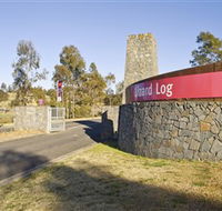 Lizard Log - Kawana Tourism