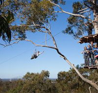 TreeTop Safari - Kawana Tourism