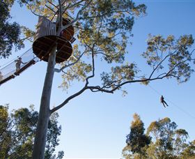 TreeTop Safari - Kawana Tourism 3