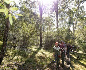 TreeTop Safari - Kawana Tourism 4