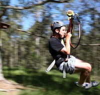 TreeTop Adventure Park Sydney - Kawana Tourism