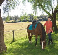 Sugarloaf Horse Centre - Kawana Tourism
