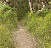 Three Views walking track - Kawana Tourism