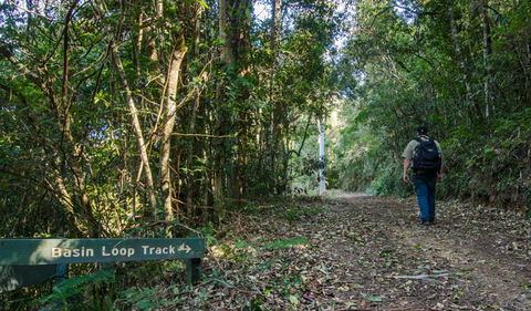 Basin Loop Track - Kawana Tourism 0