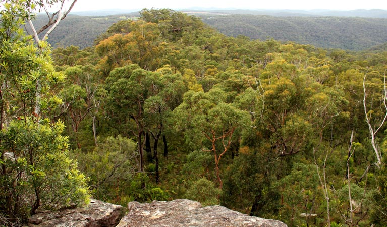 Mangrove Mountain NSW Kawana Tourism