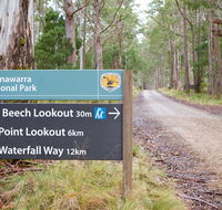 Beech lookout - Kawana Tourism