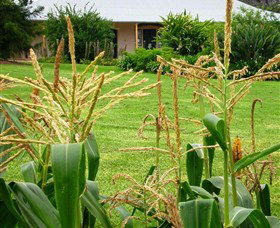 Experiment Farm Cottage - Kawana Tourism 4