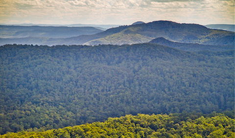 Murray Scrub Lookout - Kawana Tourism 1