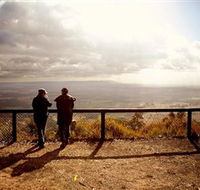 Heaton State Forest - Watagan Mountains