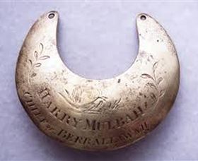 Dungog Historical Museum - Kawana Tourism 3