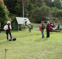 Forest of Tranquillity - Australian Rainforest Sanctuary - Kawana Tourism