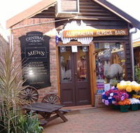 Australian Alpaca Barn - Morpeth - Kawana Tourism