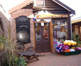 Australian Alpaca Barn - Morpeth - Kawana Tourism 0