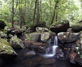 Kangaroo River - Kawana Tourism 0