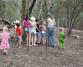 Walkabout Creek - Kawana Tourism 3