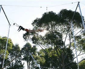 Circus Arts Sydney - Kawana Tourism 5