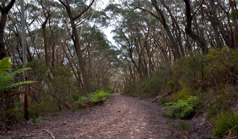 Yadboro NSW Kawana Tourism