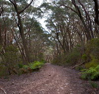 Budawang National Park - Kawana Tourism