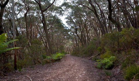 Budawang National Park - Kawana Tourism 0