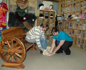 Mortels Sheepskin Factory - Kawana Tourism 1
