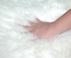 Mortels Sheepskin Factory - Kawana Tourism 4
