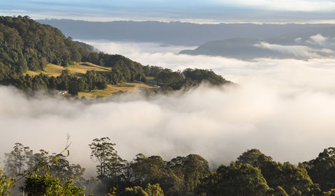 Cambewarra Range Nature Reserve - Kawana Tourism 0