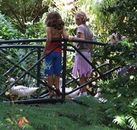 EG Waterhouse National Camellia Garden - Kawana Tourism
