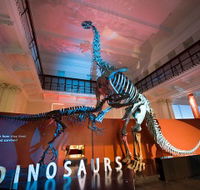 Australian Museum - Kawana Tourism