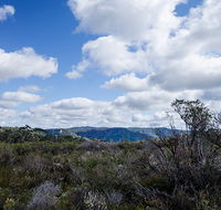 Barren Grounds Nature Reserve - Kawana Tourism