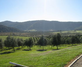 Mount Seaview NSW Kawana Tourism