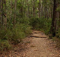 Pigeon House Mountain Didthul walking track - Kawana Tourism