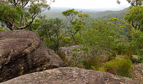 Pigeon House Mountain Didthul Walking Track - Kawana Tourism 1