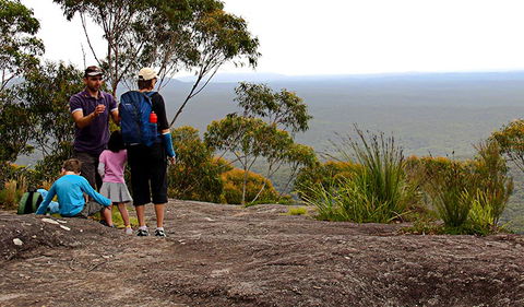 Pigeon House Mountain Didthul Walking Track - Kawana Tourism 2