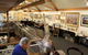 Campbells Store Craft Centre - thumb 9