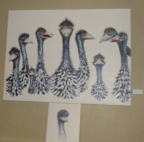 Galleries In The Gardens - Kawana Tourism 1