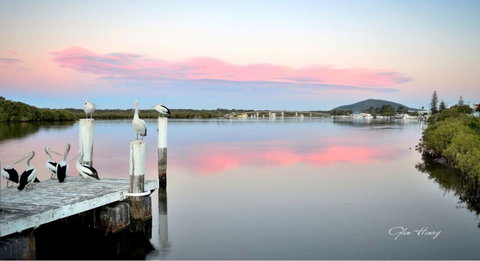 Galleries In The Gardens - Kawana Tourism 3