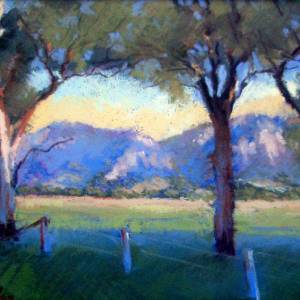 Galleries In The Gardens - Kawana Tourism 4